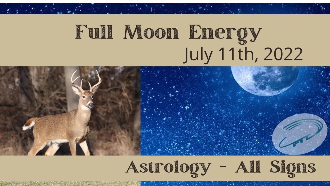Full Moon Energy Astrological Signs, What to Expect