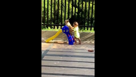 They understood each other without words..🐕🐾👶🛝😍