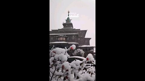 Kashmir
