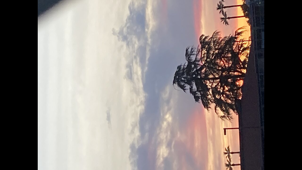 Ain’t talking bout love Van Halen solo