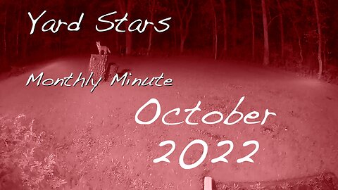 Yard Stars - The Monthly Minute (October 2022)