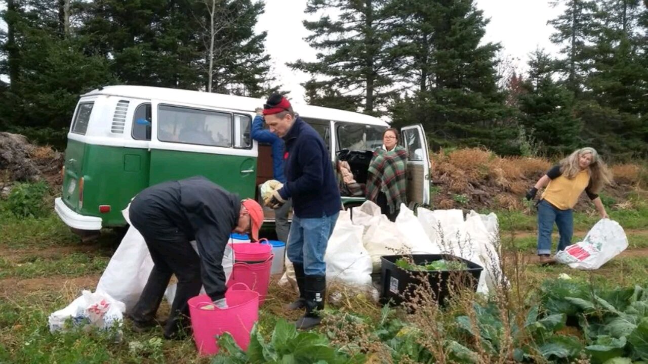 Improve Your Food Security - Episode Three: Food Waste, Food Security, and the Lost Art of Gleaning