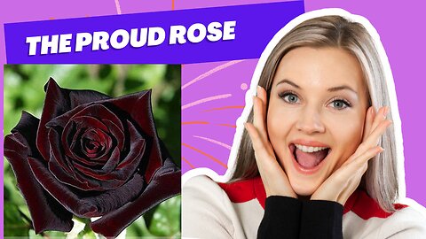 Proud Rose: Rose and Cactus