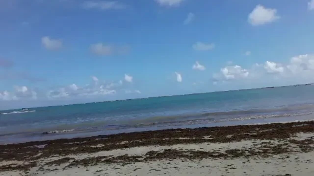 Praia do Marceneiro. ALAGOAS