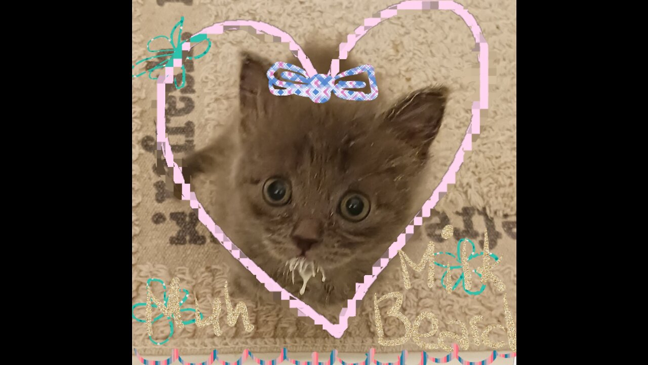 Tucker Schools Ella...