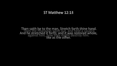 ST Matthew Chapter 12