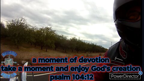 a moment of devotion take a moment and enjoy God's creation psalm 104:12