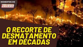 O desmatamento cresce exponencialmente na Amazônia | Momentos Resumo do Dia