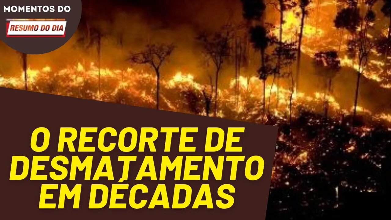 O desmatamento cresce exponencialmente na Amazônia | Momentos Resumo do Dia