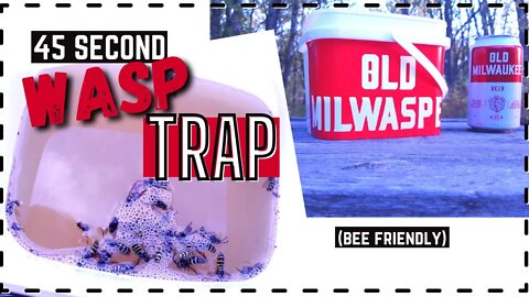 45 Second DIY Wasp Trap | Use things you already have to keep wasps away!
