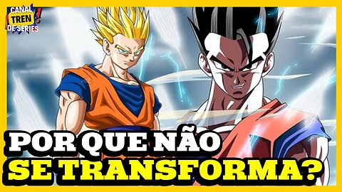 POR QUE GOHAN NÃO SE TRANFORMOU EM SUPER SAYAJIN NA LUTA CONTRA MAJIN BOO EM DRAGON BALL Z