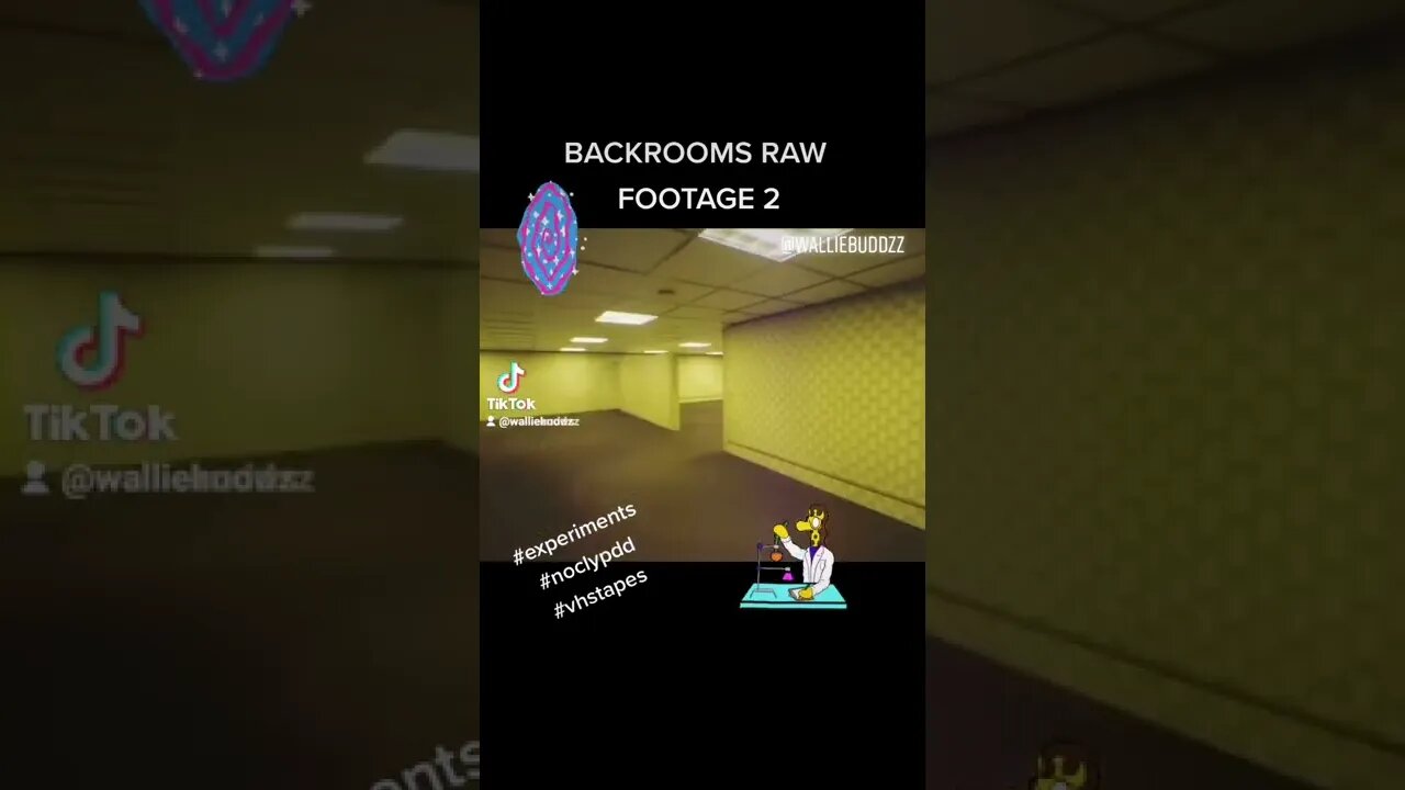 Backroom Raw Footage Part 2