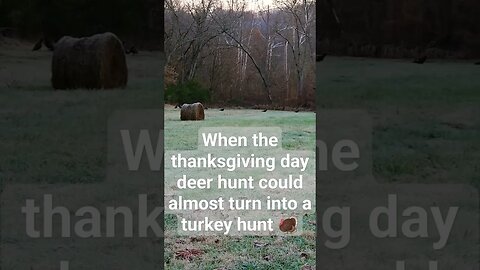 Thanksgiving day deer hunt gone wrong? #hunting #wildlife #wildturkey #deer #deerhunting