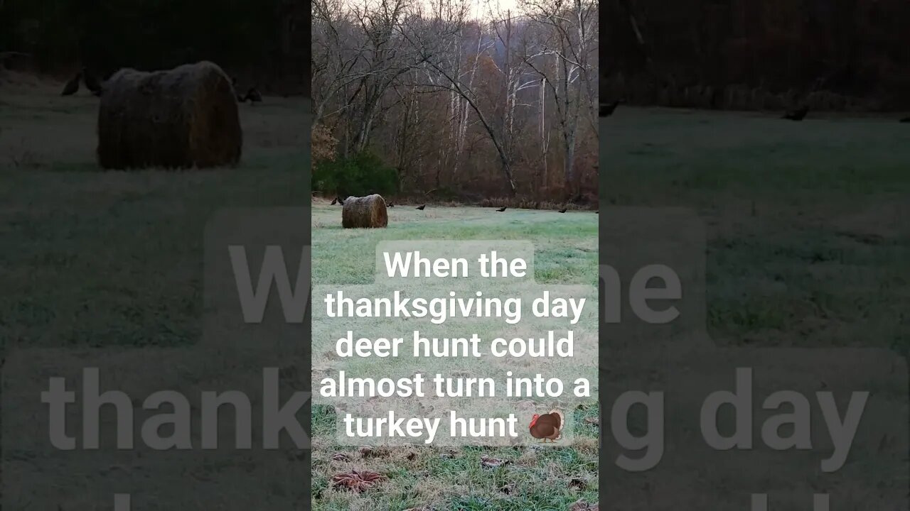 Thanksgiving day deer hunt gone wrong? #hunting #wildlife #wildturkey #deer #deerhunting