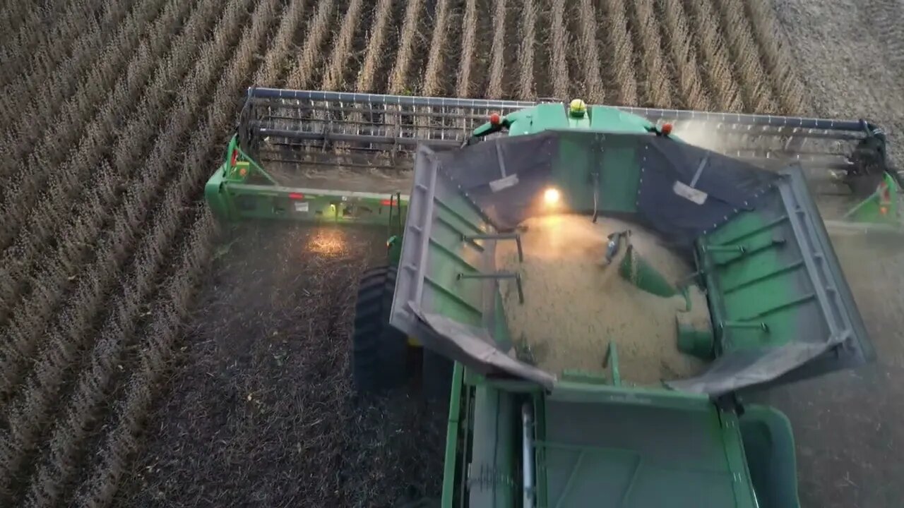 Soybean Harvest time in Minnesota 2023.