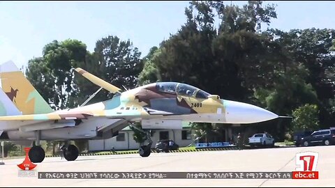 delivery of two Sukhoi Su-30K fighters, ex-Indian Air Force, to the Ethiopian Air Force.