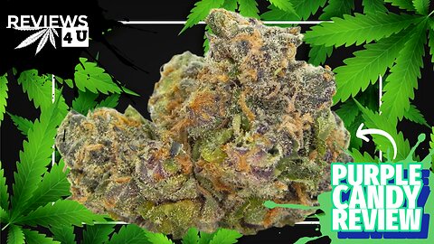 PURPLE CANDY (STRAIN REVIEW)