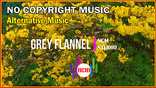 Grey Flannel - Vans in Japan: Alternative Music, Angry Music, Action Music @NCMstudio18 ​