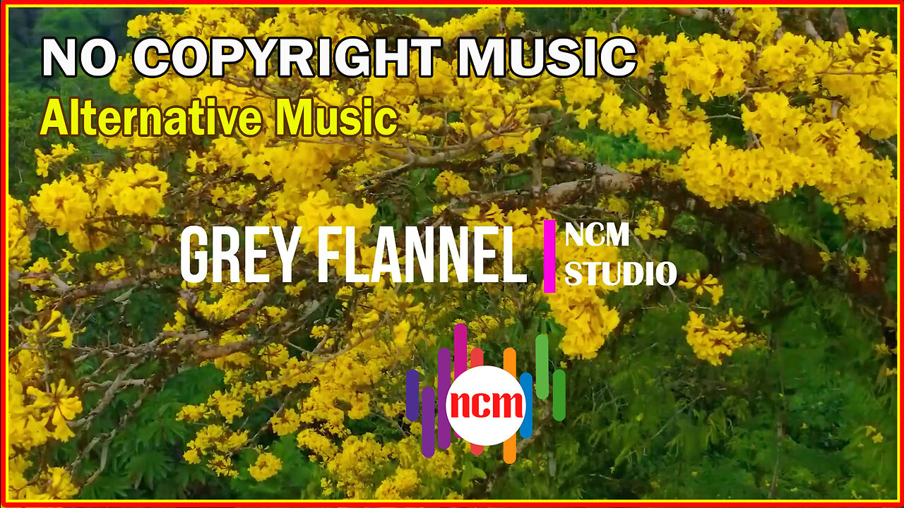 Grey Flannel - Vans in Japan: Alternative Music, Angry Music, Action Music @NCMstudio18 
