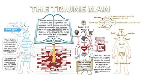 The soul vs the spirit