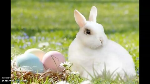 Are You Celebrating Easter Or Ester? Pagan Or Christian?
