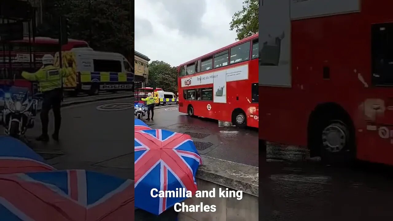 King Charles and Camilla Hyde park corner #