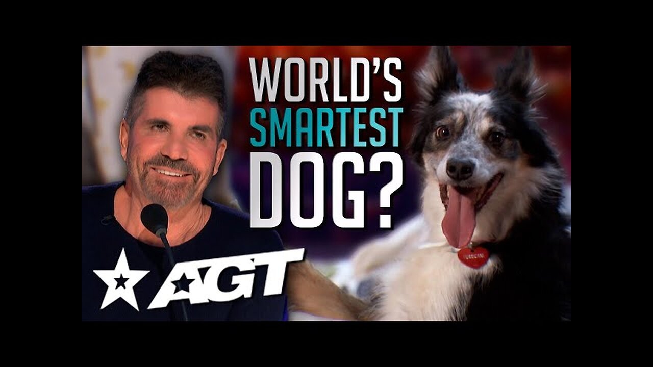 The World's Smartest Dog? Dog Helps Owner Get Ready in an ADORABLE Audition on America's Got Talent!