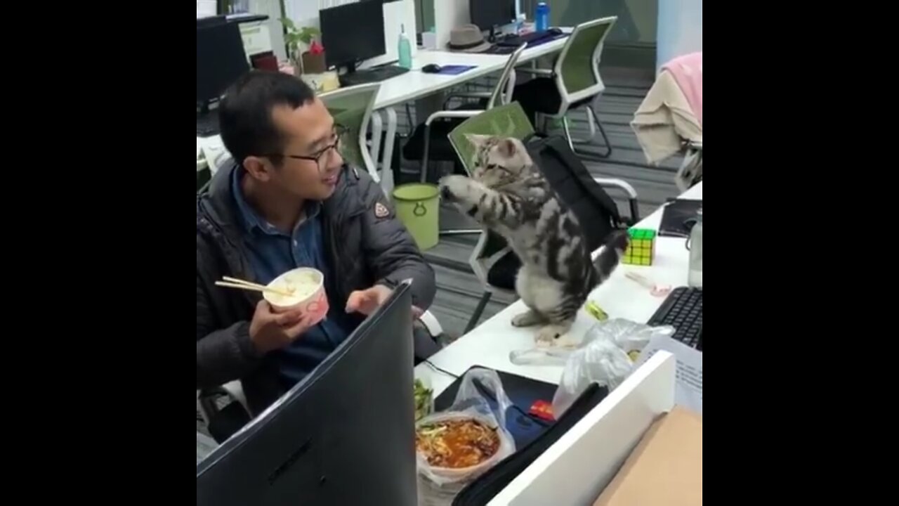 Funniest Animal 2023 π Funniest Cats and Dogs πΊπΆ