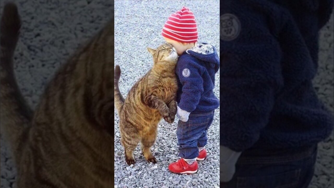 Funny animals 2023π - Funniest Cats and Dogs Videoππ212