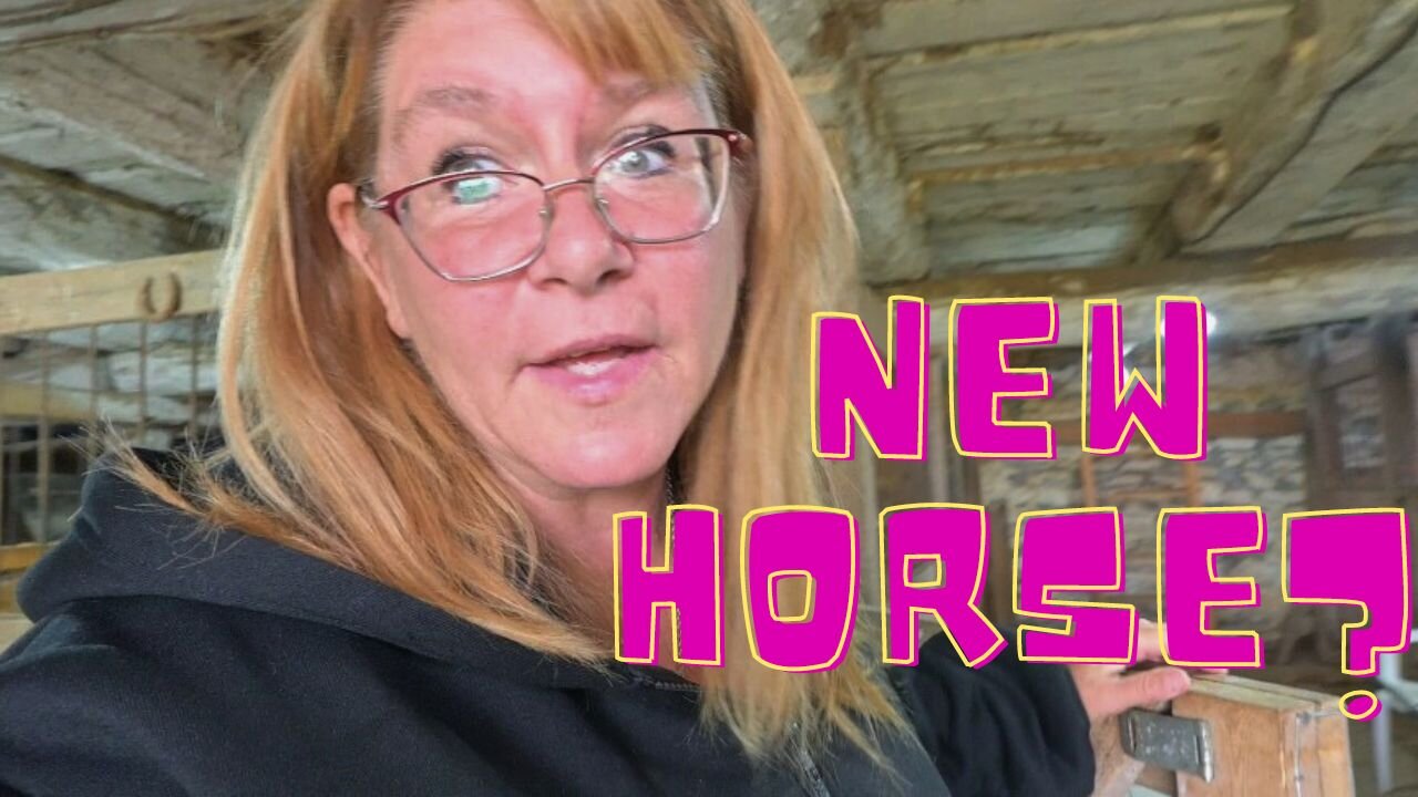 The Future Of Our Channel And Dispelling The Rumors