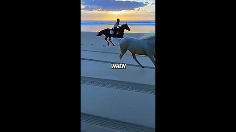 Horses get to run on the beach ❤️