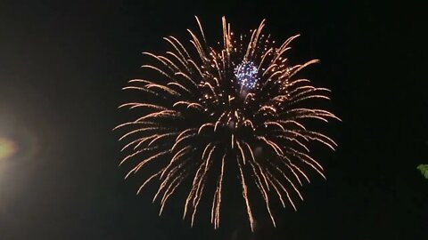 July 4th, 2022 [#dogs #doggos #doggies #puppies #dogdaycare]