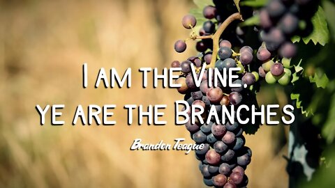 Brandon Teague - Getting to Know Jesus Part 173 “I am the Vine, ye are the branches”