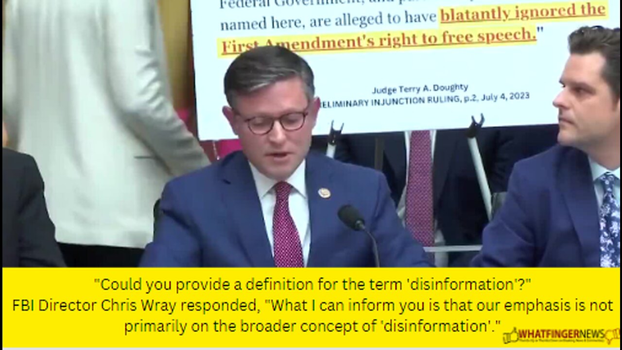 "Could you provide a definition for the term 'disinformation'?"