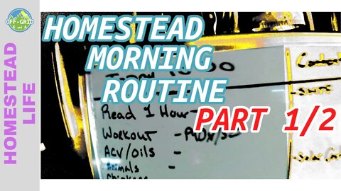 Morning Routine: Homestead Chores // Homestead VLOG