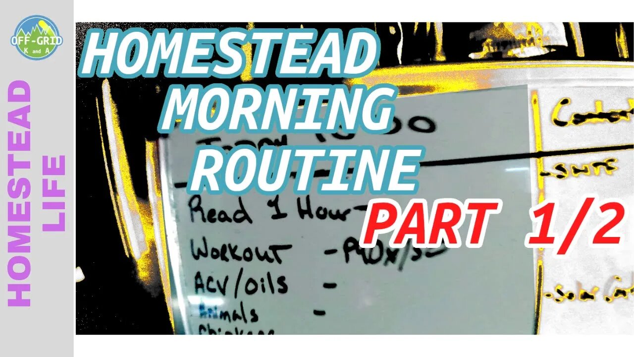 Morning Routine: Homestead Chores // Homestead VLOG