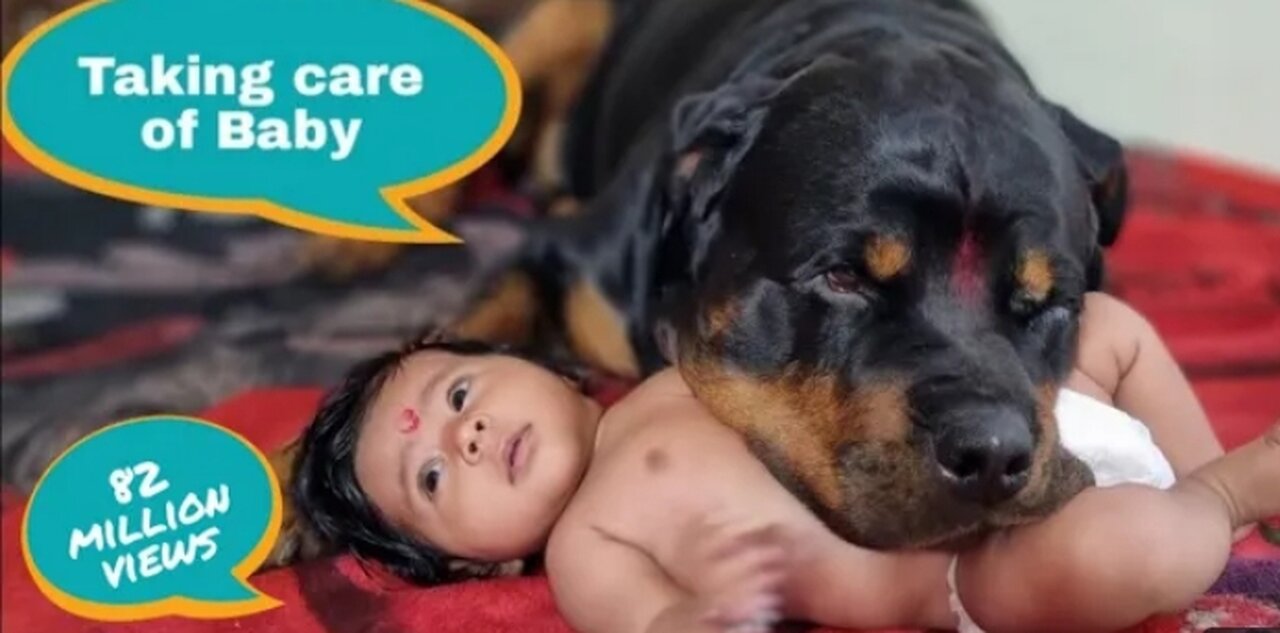 Dog protecting cute baby🥰♥️ family love 🥰