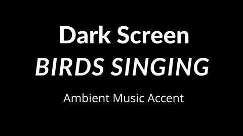 STREAM and BIRDS DARK SCREEN NATURE SOUNDS BLACK SCREEN RAIN SOUNDS FOR SLEEPING