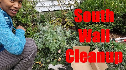 Bed Re-set, Chop & Drop and Late Pruning