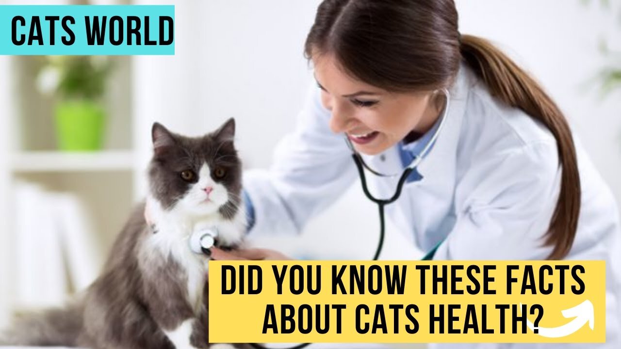 Facts about cats health and wellness