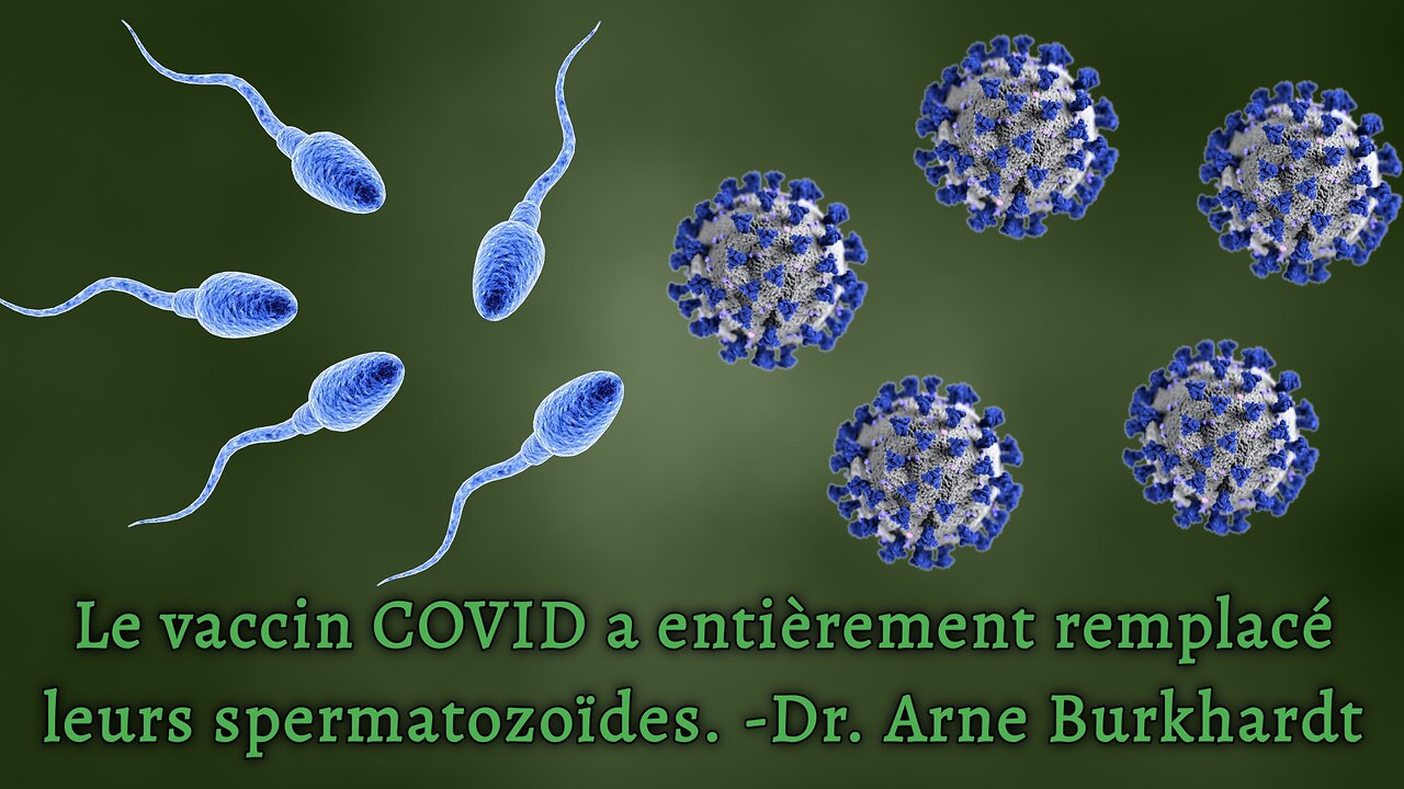 Dr. Arne Burkhardt - Le vaccin COVID a entièrement remplacé leurs spermatozoïdes