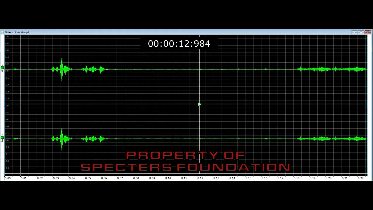 APRd Case EVP#02 PAM