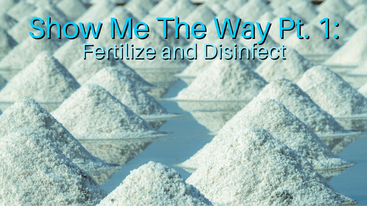 Show Me The Way Pt. 1: Fertilize and Disinfect