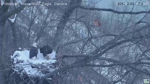 Hays Eagles Dad brings gift fish for Mom 2021 02 03 7:24AM