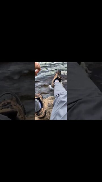 The Forbidden Waterslides