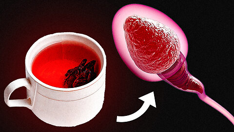 MANY People DRINK Carcade Tea, but do not Even Guess About their Effect on the Body