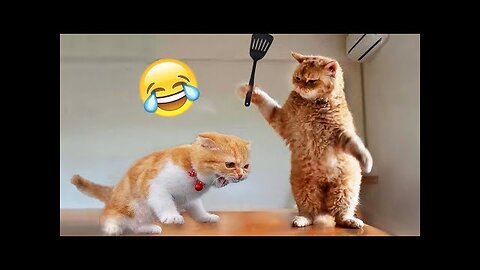 You Laugh You Lose 😂 Funniest Cats and Dogs 2023 😻🐶 Part 40