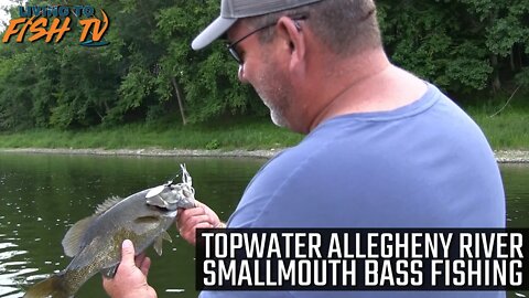 Topwater Allegheny River Smallmouth Bass Fishing