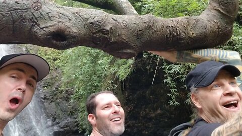 Ka'au Crater with Nick & Ryan on Nick's Birthday