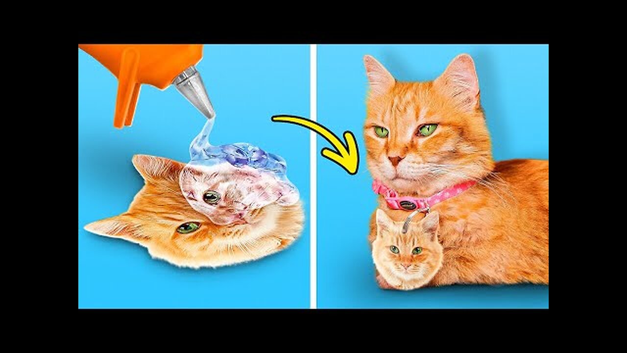 How to make Amazing Kitten House from Handy Tools 🐈 Best Pet Hacks by 5-Minute Crafts